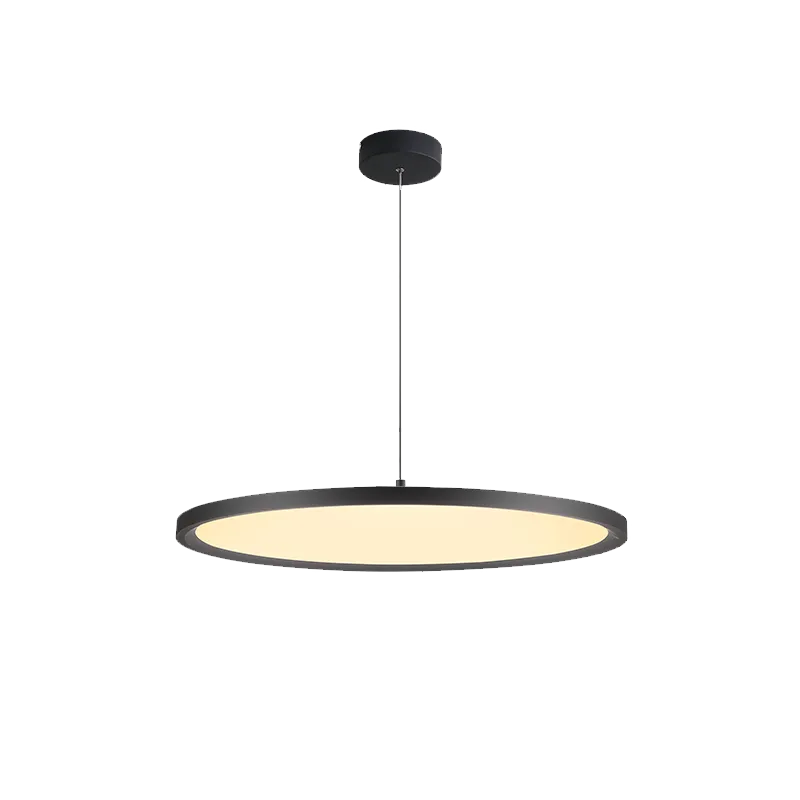 Modern minimalist led dining room light Nordic designer dining room chandelier single-head minimalist book room office lighting